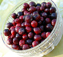 Cranberry Salad Recipe from Heritage Recipes